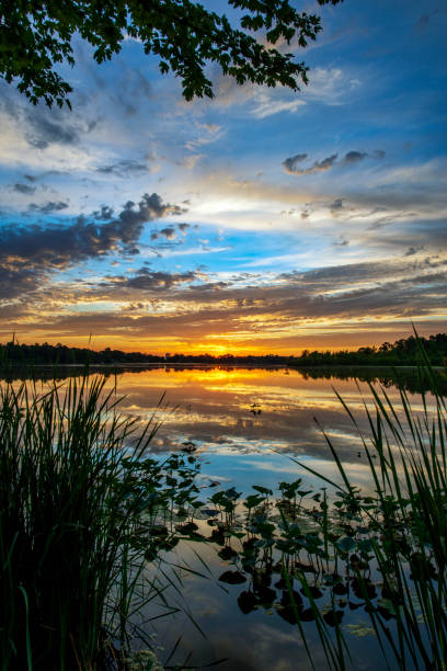 istock Vertical Image of Twilight at a Rural Lake in Summer 1276947619