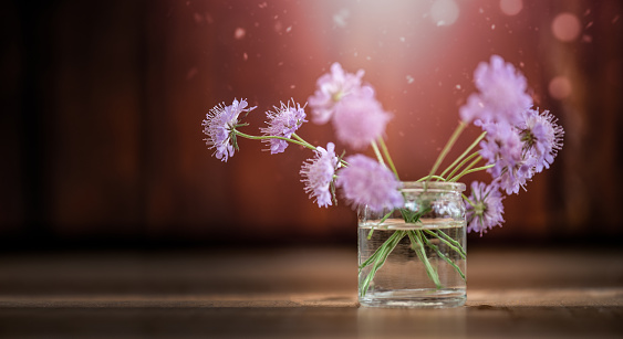 Wildflowers in a Glass Jar over Defocused Background