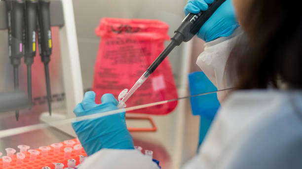 Scientist or lab worker hand in glove using pipette dropper dropping sample to plate of research laboratory drug resistant testing in bio-safety cabinet in hospital. Coronavirus testing. científico o trabajador de laboratorio mano en guante usando gotero de pipeta dejando caer la muestra a la placa de pruebas de laboratorio de investigación resistentes a medicamentos en el gabinete de bioseabilidad en el hospital. pruebas de coronavirus.