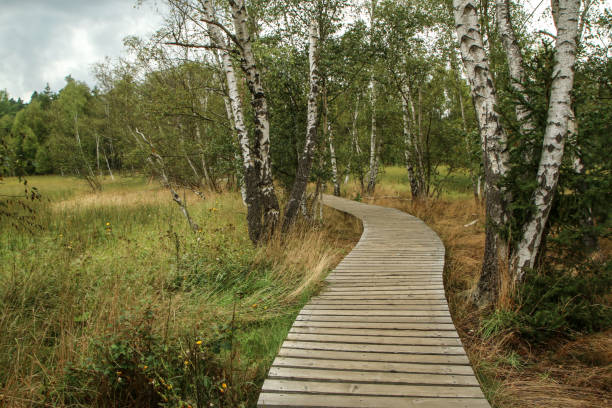 istock national protected area in Czech Republic called SOOS 1276954379
