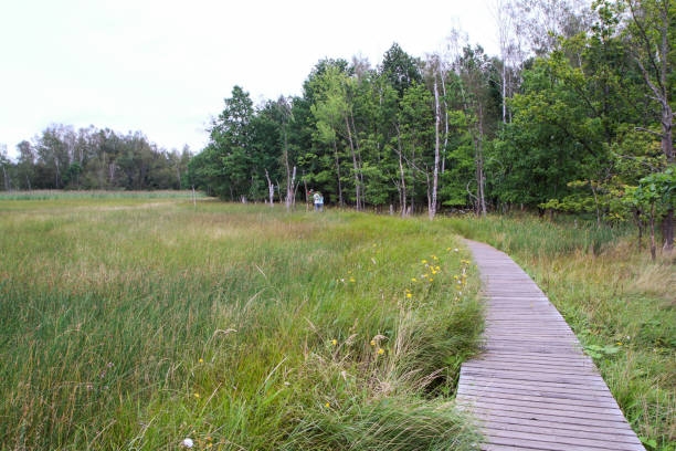 istock national protected area in Czech Republic called SOOS 1276954766