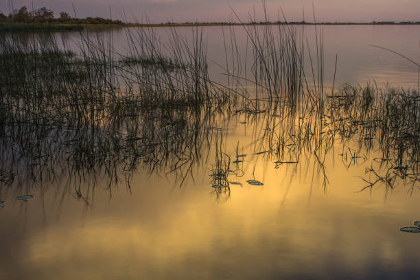 istock Clouds reflection in the lake with pasture 1276956269