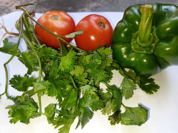 istock Fresh and beautiful coriander is an annual herb tomato bell pepper 1276956722
