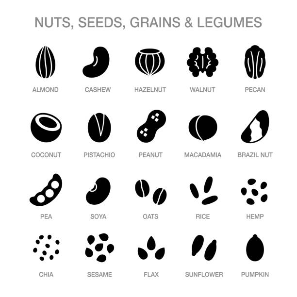 Nuts, seeds, grains icons Nuts, seeds, grains and legumes icon set. Solid black cartoon style icons. Plant based diet ingredients, non-dairy milk symbols. pecan icon stock illustrations