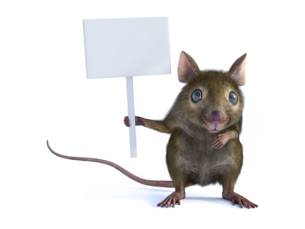 istock 3D rendering of a mouse holding blank sign. 1276959917