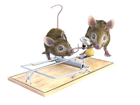 3D rendering of two cute mice looking at a piece of cheese in a mouse trap. One of them is holding a magnifying glass. White background.