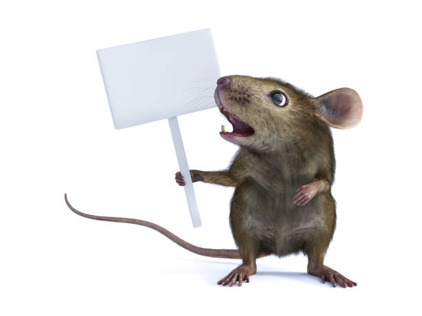 3D rendering of a shocked mouse holding blank sign.