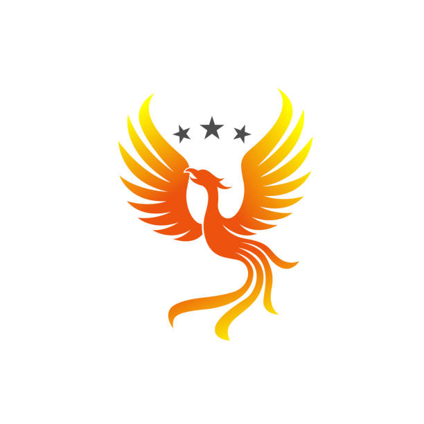 ilustrações, clipart, desenhos animados e ícones de ilustração vetorial do pássaro phoenix. melhor para mascote, ou logotipo com o uso do conceito de pássaro. - wing star shape freedom image