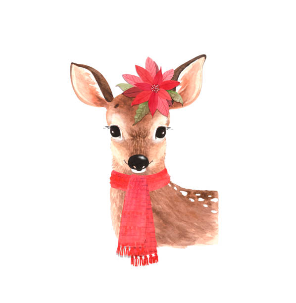 bildbanksillustrationer, clip art samt tecknat material och ikoner med söt djur jul hjort med röd halsduk och blomma, akvarell illustration - rådjur illustrationer