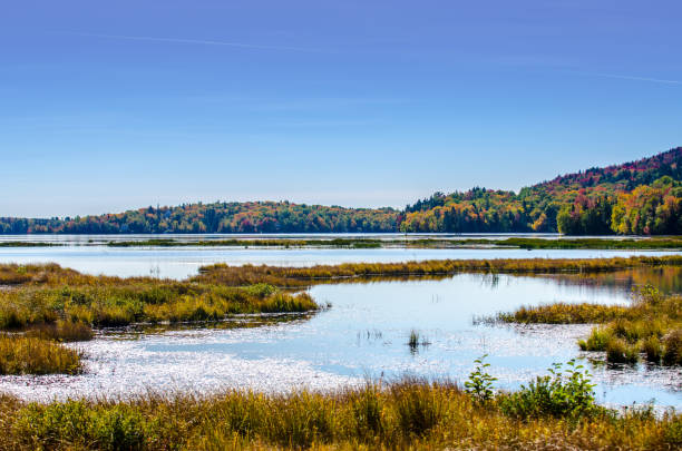istock Lake during day of autumn 1276963640
