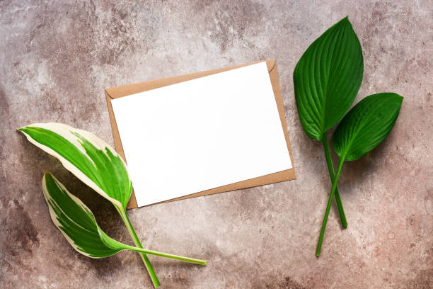 istock Green leaves and blank paper white card on brown envelope. Wedding mockup with invitation. Template for your design. Top view, flat lay, copy space. 1276964018
