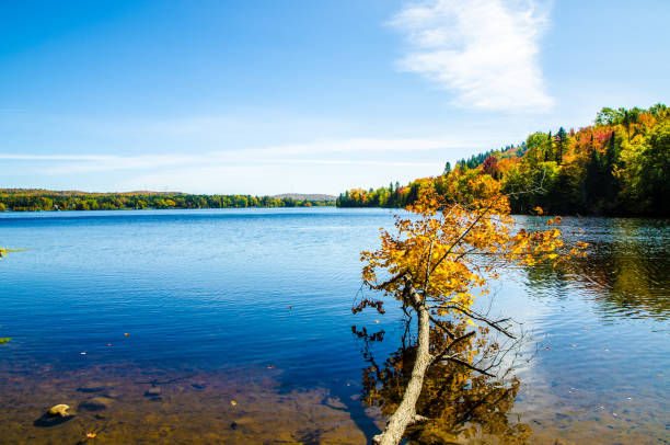 istock Lake during day of autumn 1276964908