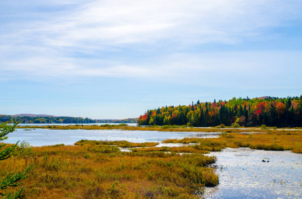 istock Lake during day of autumn 1276965138