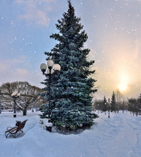 istock Colorful sunset and snowfall in the winter park 1276965246