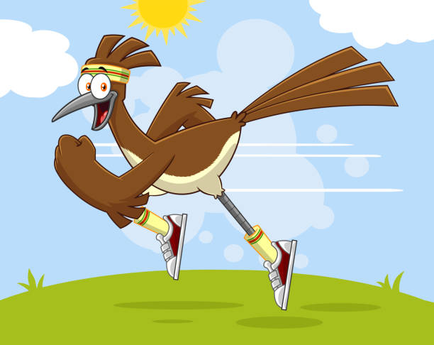 ilustrações, clipart, desenhos animados e ícones de roadrunner bird personagem de desenho animado jogging - roadrunner