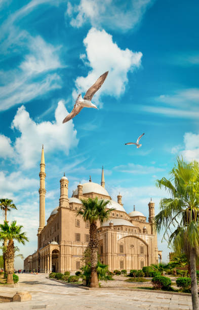 istock Muhammad Ali Pasha in Cairo 1276967517