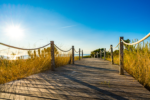 Wooden footpath to the beach through the grass. Predominant colors are blue, yellow and brown. High resolution 42Mp outdoors digital capture taken with SONY A7rII and Zeiss Batis 25mm F2.0 lens