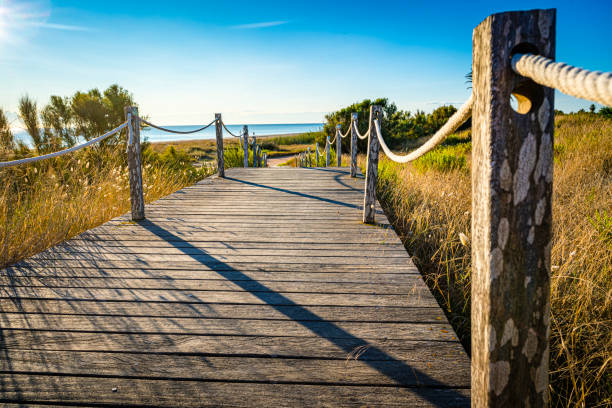 Wooden footpath to the beach through the grass. Predominant colors are blue, yellow and brown. High resolution 42Mp outdoors digital capture taken with SONY A7rII and Zeiss Batis 25mm F2.0 lens