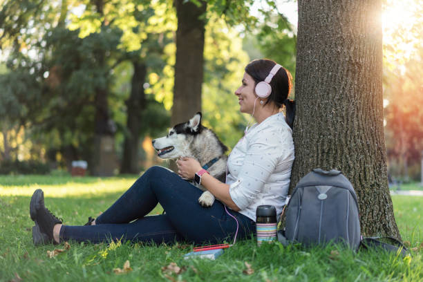 istock Beautiful husky sitting calmly next to his owner 1276970159