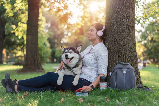 istock Beautiful husky relaxing with his owner in the park 1276970161