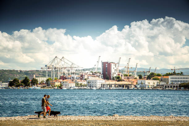 Dog walking Men, most likely friends, took a lazy walk with their dogs at the seaside in Koper, Slovenia. koper slovenia stock pictures, royalty-free photos & images