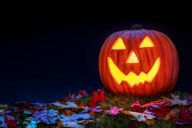 istock A smiling Jack O’ Lantern sitting in the grass with fallen leaves at night for Halloween, 1276978041