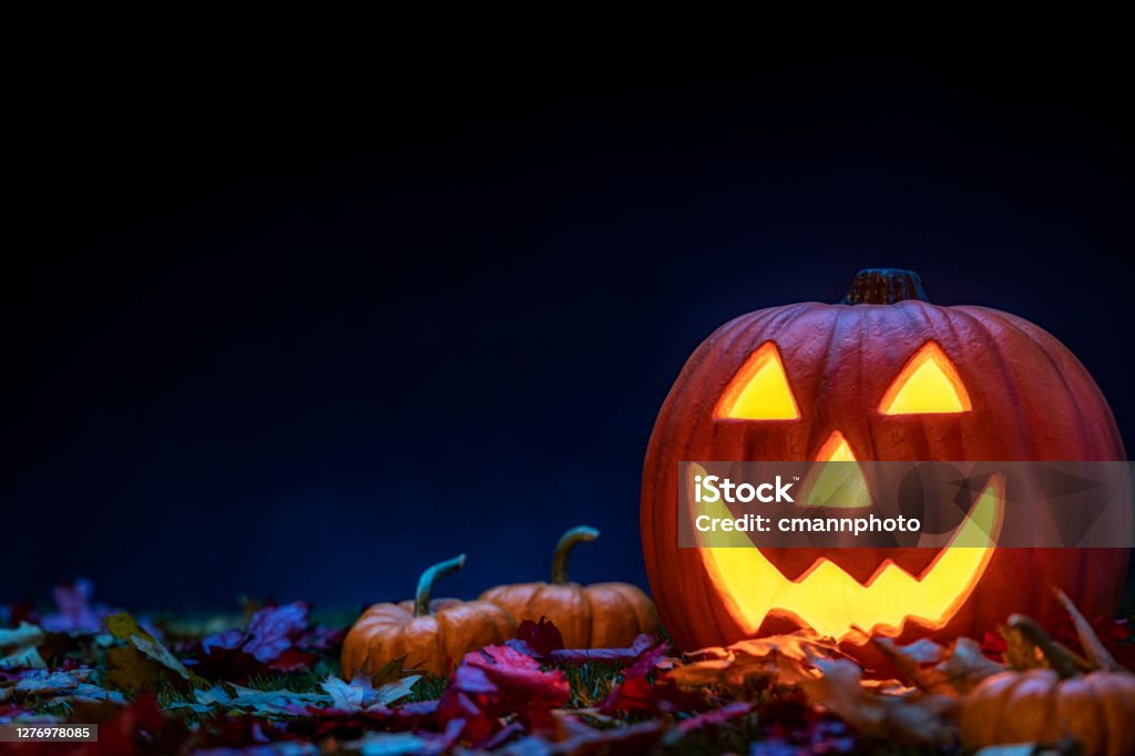A smiling Jack O’ Lantern sitting in the grass with small pumpkins and fallen leaves at night for Halloween A pumpkin carved into a smiling Jack O’ Lantern sitting in the grass with small pumpkins and fallen leaves as a Halloween decoration. It is glowing from the light within and accented by the blue moon light. Halloween Stock Photo