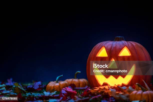 A Smiling Jack O Lantern Sitting In The Grass With Small Pumpkins And Fallen Leaves At Night For Halloween Stock Photo - Download Image Now
