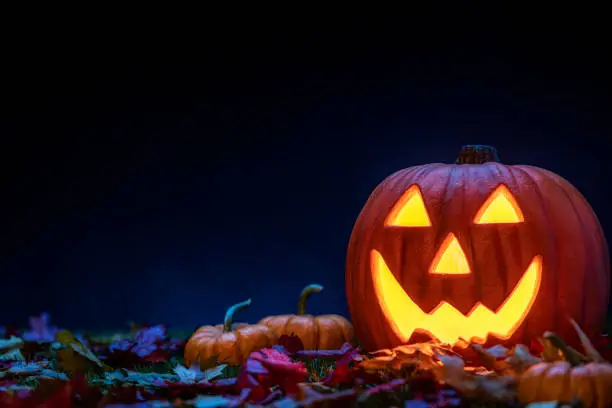 Photo of A smiling Jack O’ Lantern sitting in the grass with small pumpkins and fallen leaves at night for Halloween