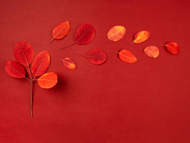 istock Abstract autumn tree scene made of red fallen leaves. 1276978573