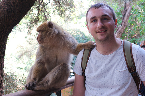 A tourist takes a selfie photo with a barbary macaque living in forest near the Ouzoud Falls.