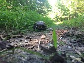 billy-goat-trail-maryland.jpg?b=1&s=170x170&k=20&c=TSXNZGIF4LSF_8Dlxby8go71ihChpWDJtorT30uvsWM=