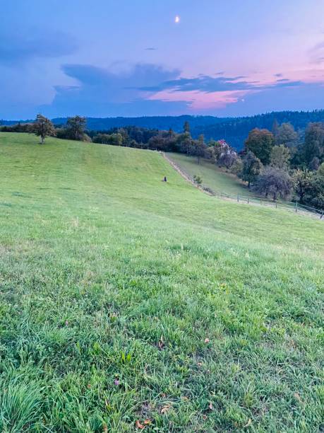 istock Rural landscape at sunset 1276980620
