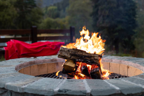 kominek na świeżym powietrzu z jasnym płomieniem w palenisku i jesiennym tle leśnym - fire pit fire fireplace outdoors zdjęcia i obrazy z banku zdjęć