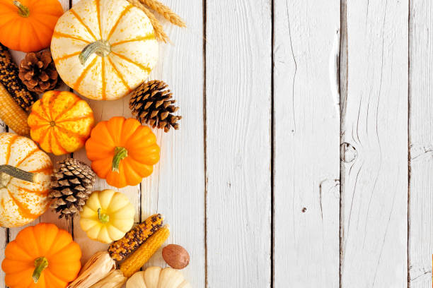 istock Autumn side border of pumpkins and fall decor over a rustic white wood background 1276984838