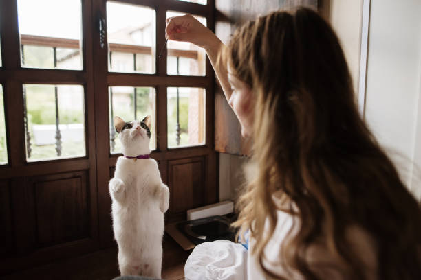 istock Young woman and her cat at home 1276985933