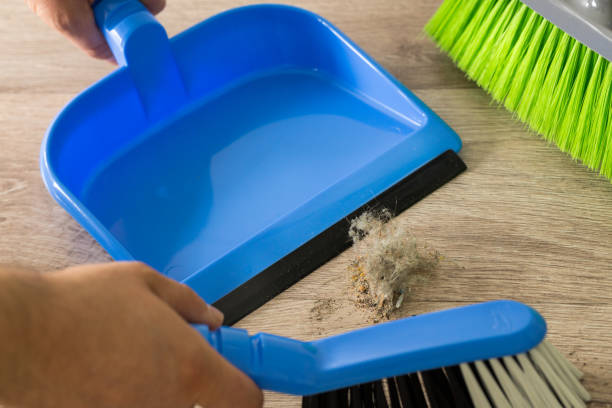 istock A pile of rubbish is being swept onto a dustpan 1276985993