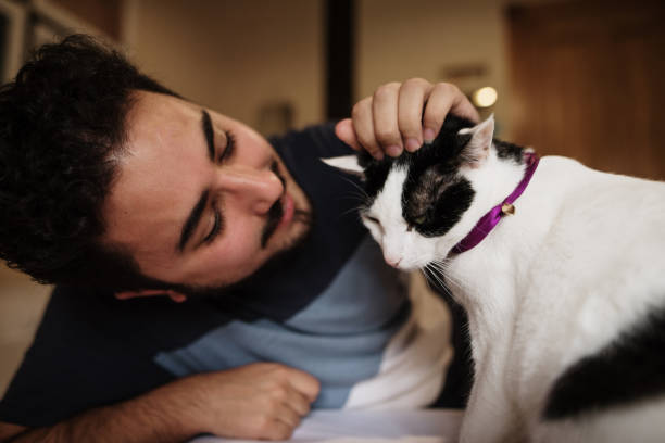 istock Young man and his cat at home 1276987436
