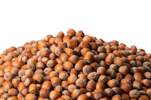 istock Copyspace background composition with the borders made of hazelnuts isolated over the white background 1276987912