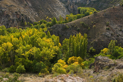 Canyon of Rio Dulce in park Barranco del Rio Dulce, Guadalajara Province,Spain,Europe