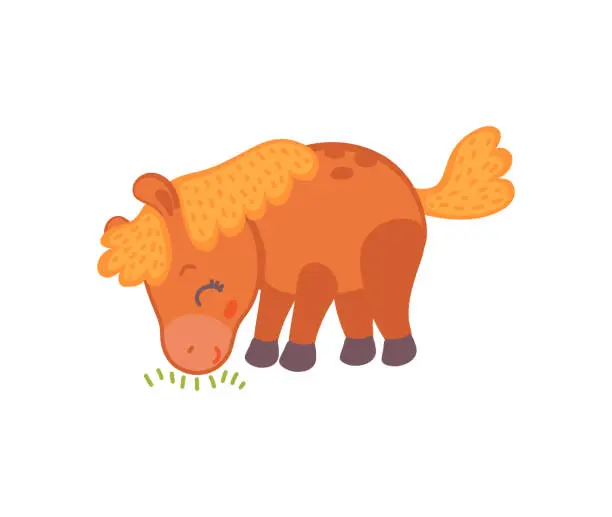 Vector illustration of Cute baby horse eating grass - adorable cartoon brown pony