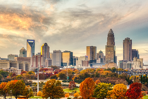 Beautiful fall leaves accent the Charlotte skyline on a cool November day.