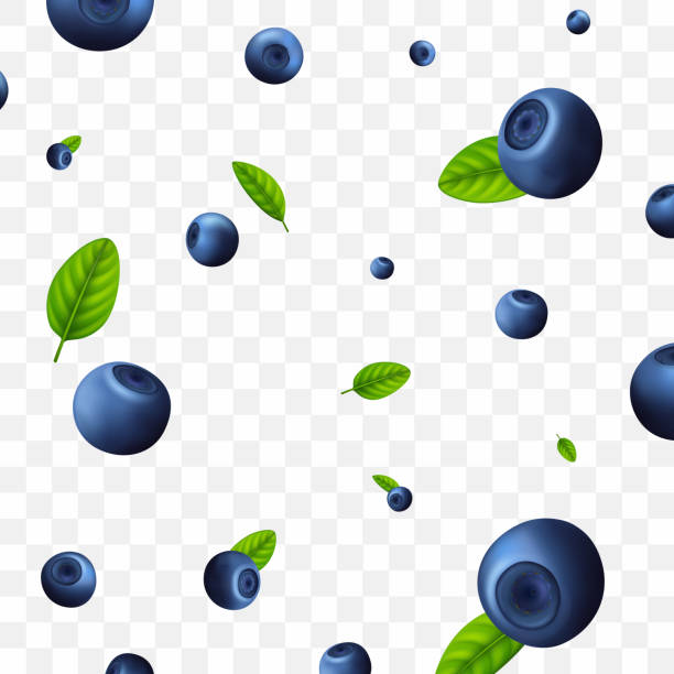 ilustrações, clipart, desenhos animados e ícones de fundo de padrão sem emendas 3d raw blueberry berries. vetor - backgrounds berry close up dessert