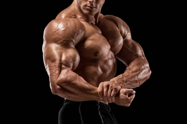 6,445 Big Body Builders Stock Photos, Pictures & Royalty-Free Images -  iStock