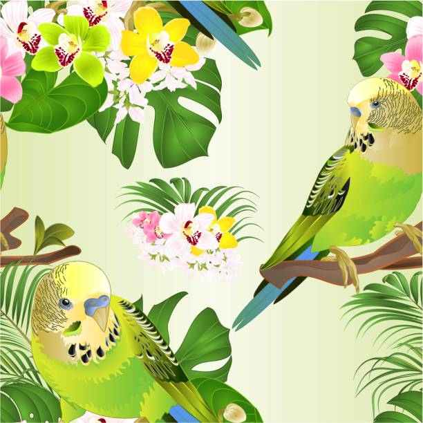 illustrazioni stock, clip art, cartoni animati e icone di tendenza di parrocchetti verdi dalla trama senza cuciture budgerigars home pet, o budgie e orchids cymbidium con palma tropicale e philodendron acquerello vintage - spring birdsong bird seamless