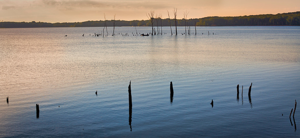 A tranquil , morning scene at Manasquan Reservoir in New Jersey