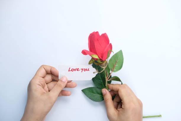 istock women hand holding rose flower on white background 1277009144