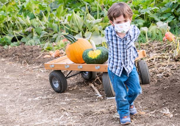Caucasian Serious Little child boy pulling a cart with pumpkins at a pumpkin at a pumpkin patch wearing a protective face mask