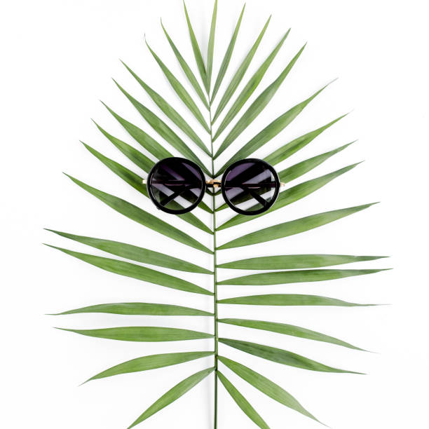 istock Tropical hipster leaf in sunglasses on white background. Flat laying, top view 1277010233