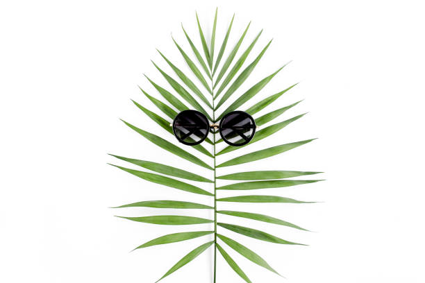 istock Tropical hipster leaf in sunglasses on white background. Flat laying, top view 1277010320